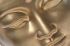 ��������� ����������� �� ���� ��������